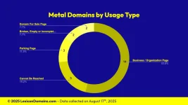 Lexicon_Domains_Metal_Domain_Name_Stats_Slide2.webp