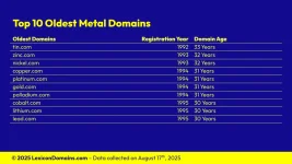 Lexicon_Domains_Metal_Domain_Name_Stats_Slide5.webp