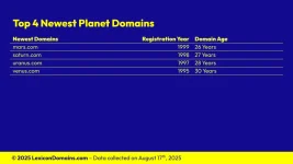 Lexicon_Domains_Planet_Domain_Name_Stats_Slide5.webp