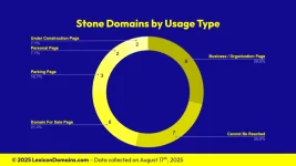 Lexicon_Domains_Stone_Domain_Name_Stats_Slide2.webp