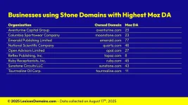 Lexicon_Domains_Stone_Domain_Name_Stats_Slide6.webp