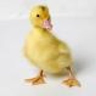 canardplus